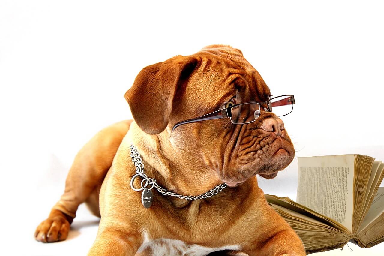 ¿CÓMO MEJORO MI READING?