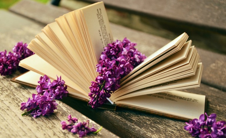 LIBROS IMPRESCINDIBLES PARA ESTUDIANTES DE FRANCÉS