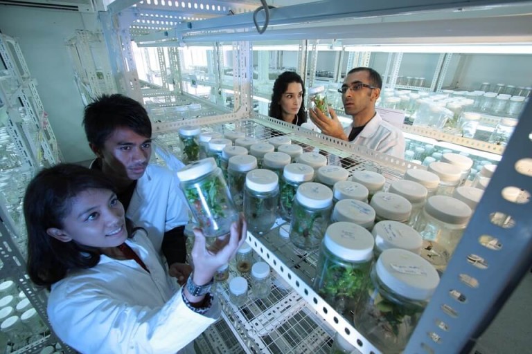 ¿CUÁL ES EL IDIOMA DE LA CIENCIA?