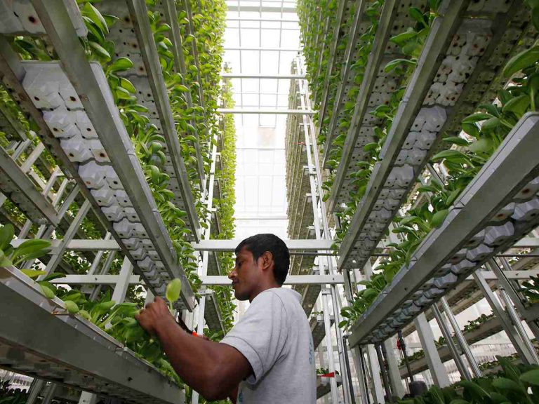 5 INICIATIVAS AMIGABLES CON EL PLANETA