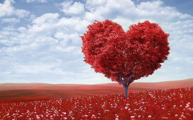 5 CANCIONES EN INGLÉS PARA DEDICAR EN SAN VALENTÍN