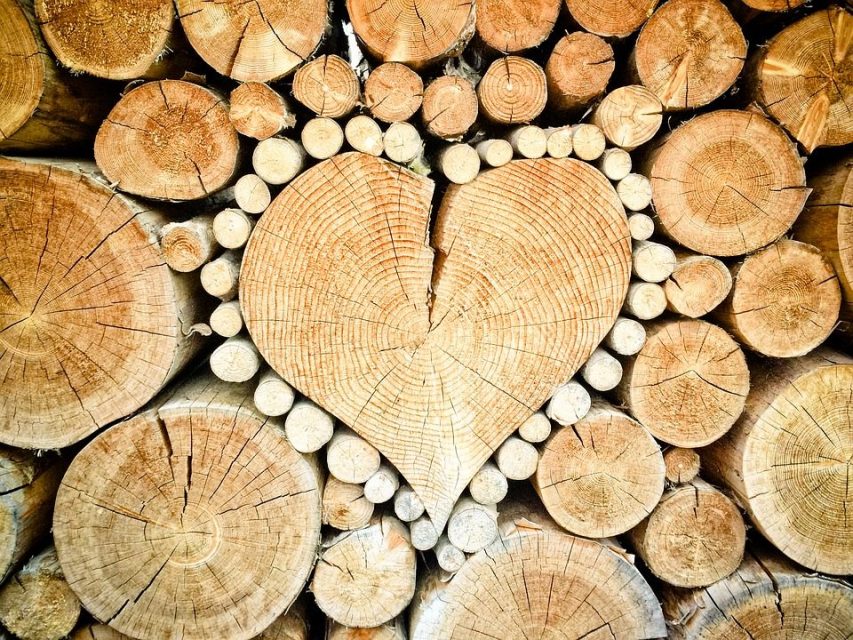 Ideas innovadoras para el cuidado del medio ambiente