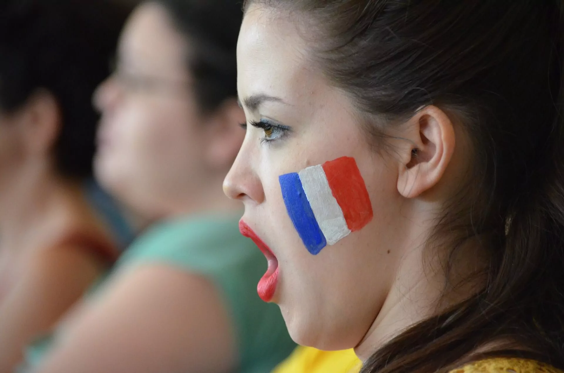himno de francia. cursos de frances en Medellin