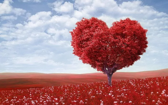 5 CANCIONES EN INGLÉS PARA DEDICAR EN SAN VALENTÍN