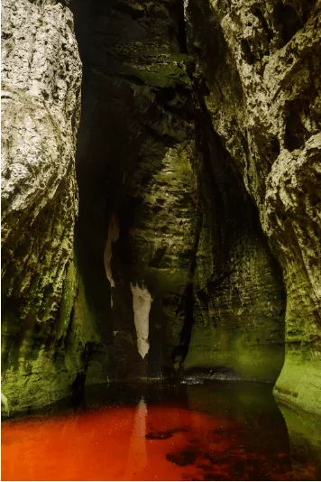 Área protegida Chiribiquete
