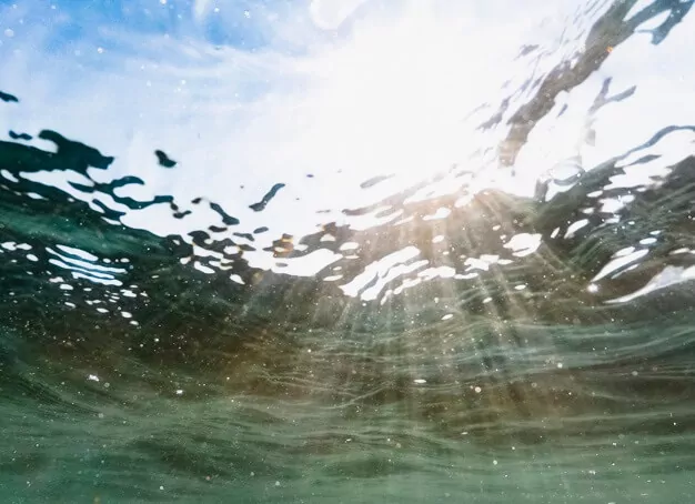 ¿QUÉ ESTÁS HACIENDO PARA CUIDAR EL AGUA?